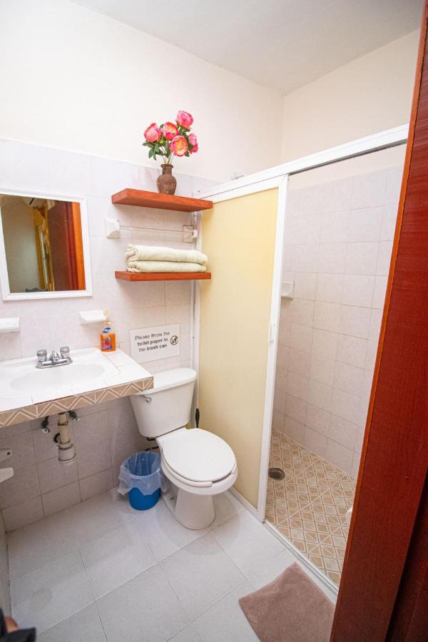 La Casa Del Almendro Hotel Playa del Carmen Ngoại thất bức ảnh